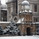 Caius in Snow